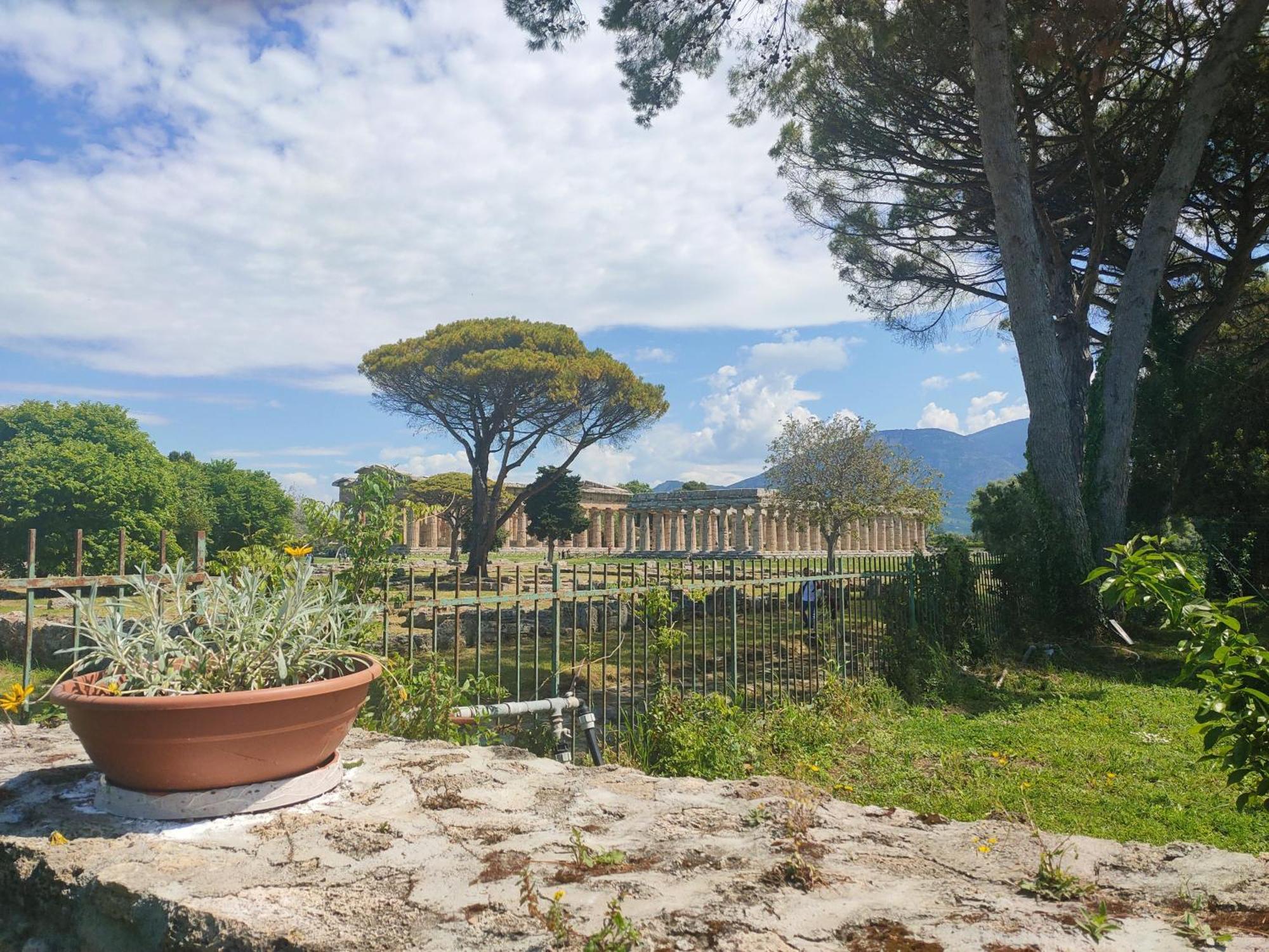 Il Giardino Di Athena 1 Apartment Paestum Room photo