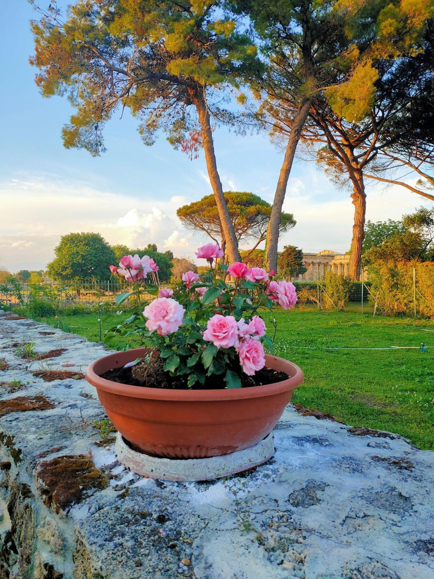 Il Giardino Di Athena 1 Apartment Paestum Exterior photo